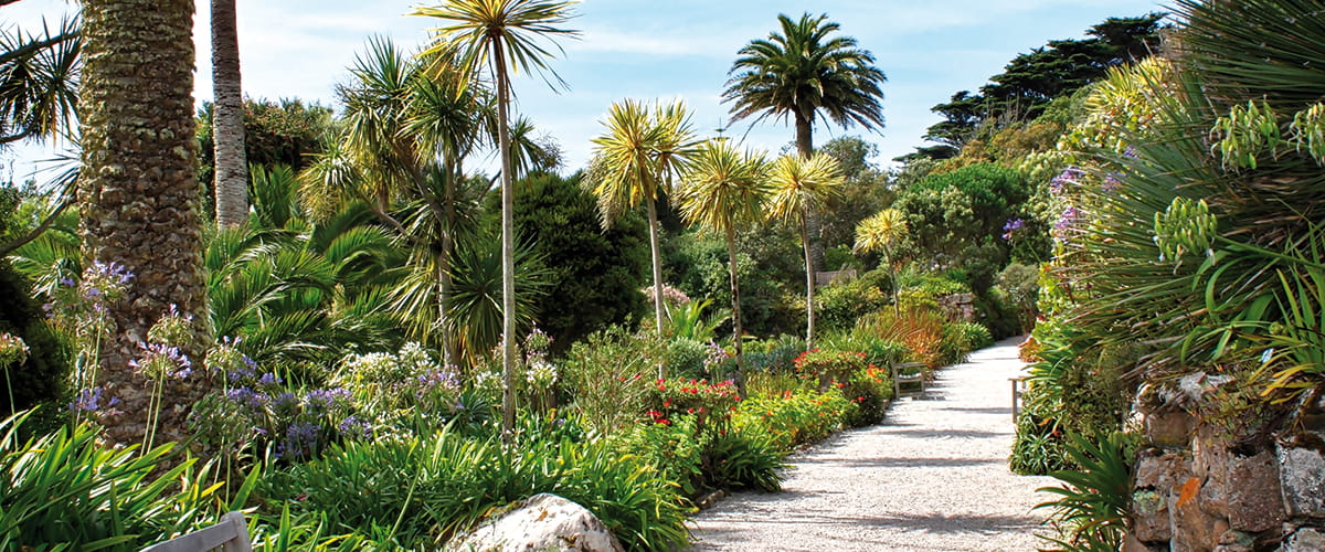 Tresco Abbey Gardens
